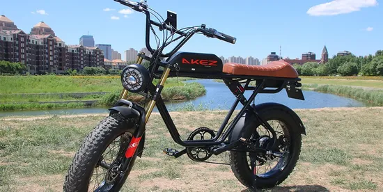 48V750W13ah 持続可能な20インチリチウムEバイクリチウムバッテリー自転車