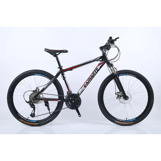 ゲームウォーターサーフハブシティバイク20インチホイールコーヒー大人用ロードフレームセット24インチ29 BMXファットロードバイクマウンテンバイク