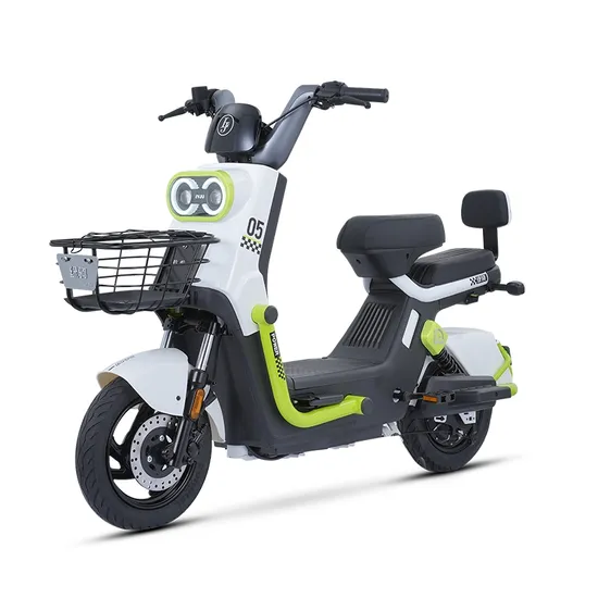 Lvju Long Range Falcon 800W 60/72V 鉛蓄電池搭載電動自転車