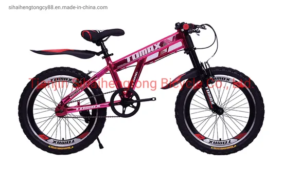 20インチ BMX スタイル キッズバイク スチール シャイニング マウンテンバイク