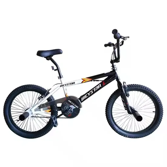 フリースタイル 20インチ BMX 自転車（ディスク付き）