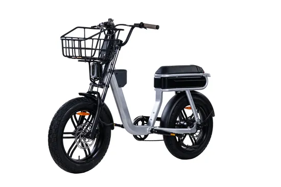 2025 OEM 20インチ 4.0 250Wモーター、取り外し可能な48V15ahリチウムバッテリー搭載電動自転車